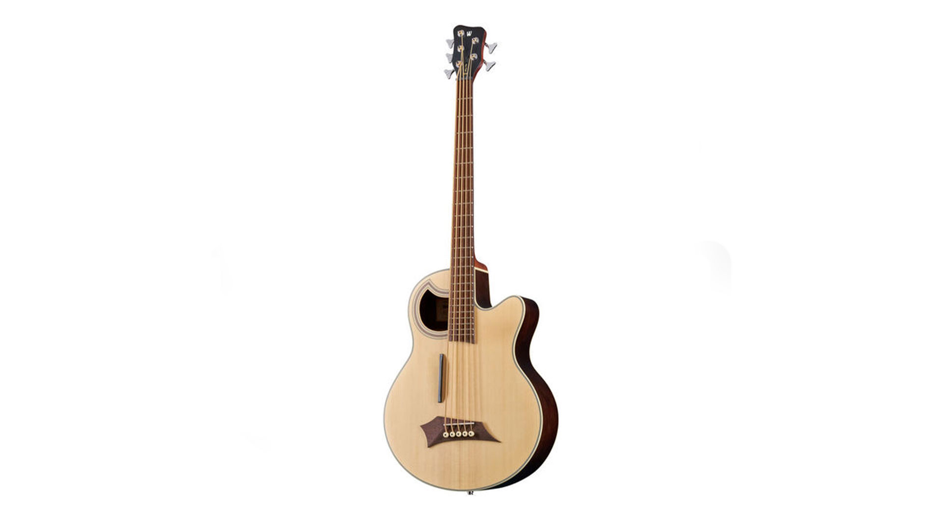 Top 5-String Acoustic Basses